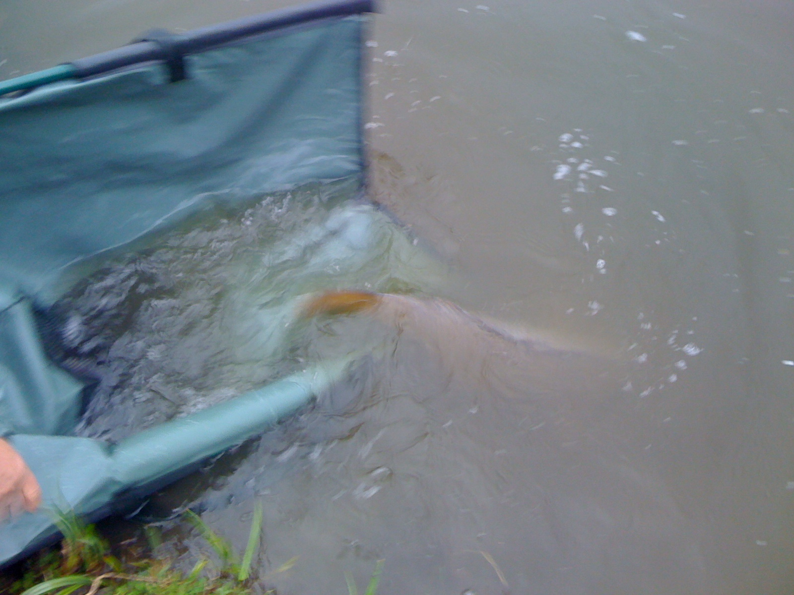 Senior Cup MV2 11.04-14.04.2011 - img004e.png